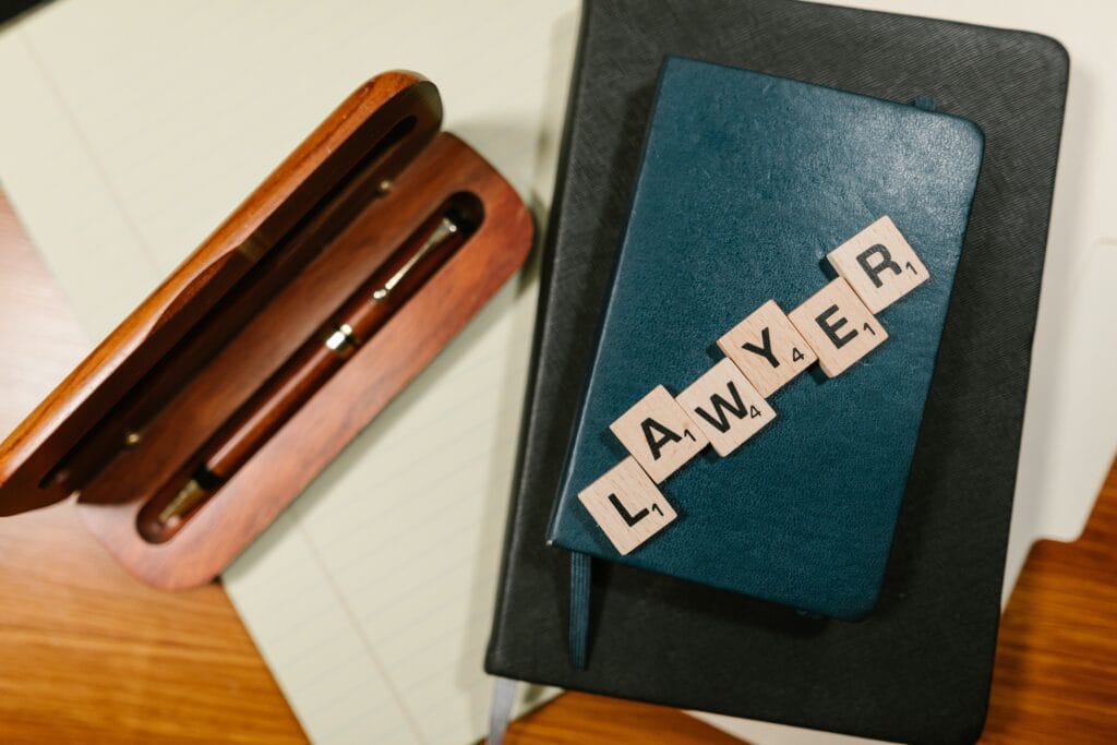 book for legal professionals, law students and lay readers